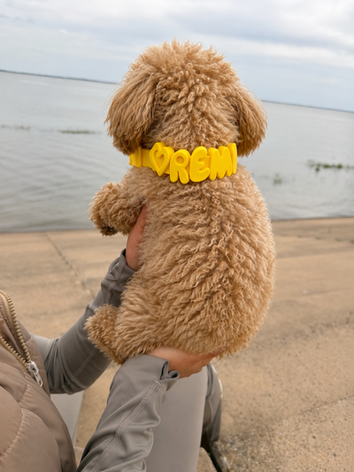Personalised Wander Collar™