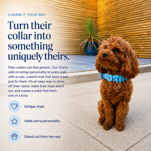 Personalised Wander Collar™