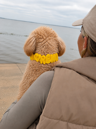 Personalised Wander Collar™