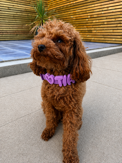 Personalised Wander Collar™
