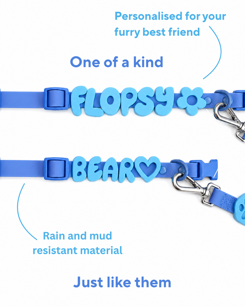 Personalised Wander Collar™