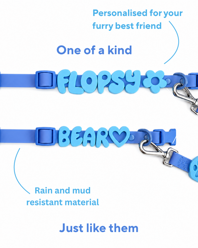 Personalised Wander Collar™