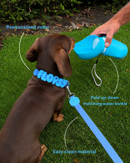 Personalised Wander Collar™